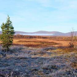 ...und machten diesen Roatrip für mich unvergessen
