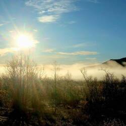 ...der Nebel...