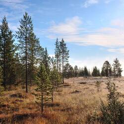 ...fast den ganzen Morgen
