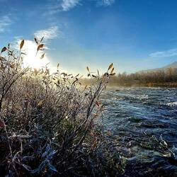 .....und der Frost...
