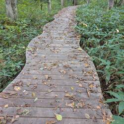 Kreativer Weg im Botanischen Garten
