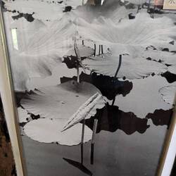 Das Röhrchen im Vordergrund ist zum Luftholen