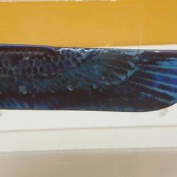 Fiance wing 500 BC