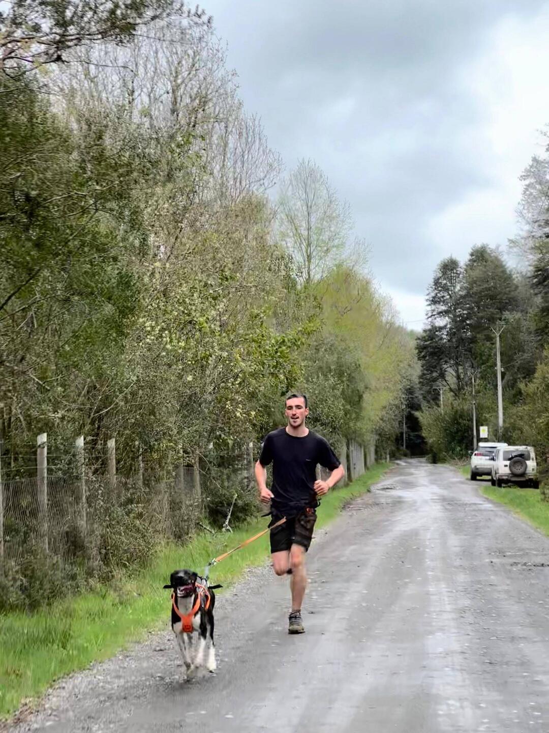 Canicross mit Tachyon