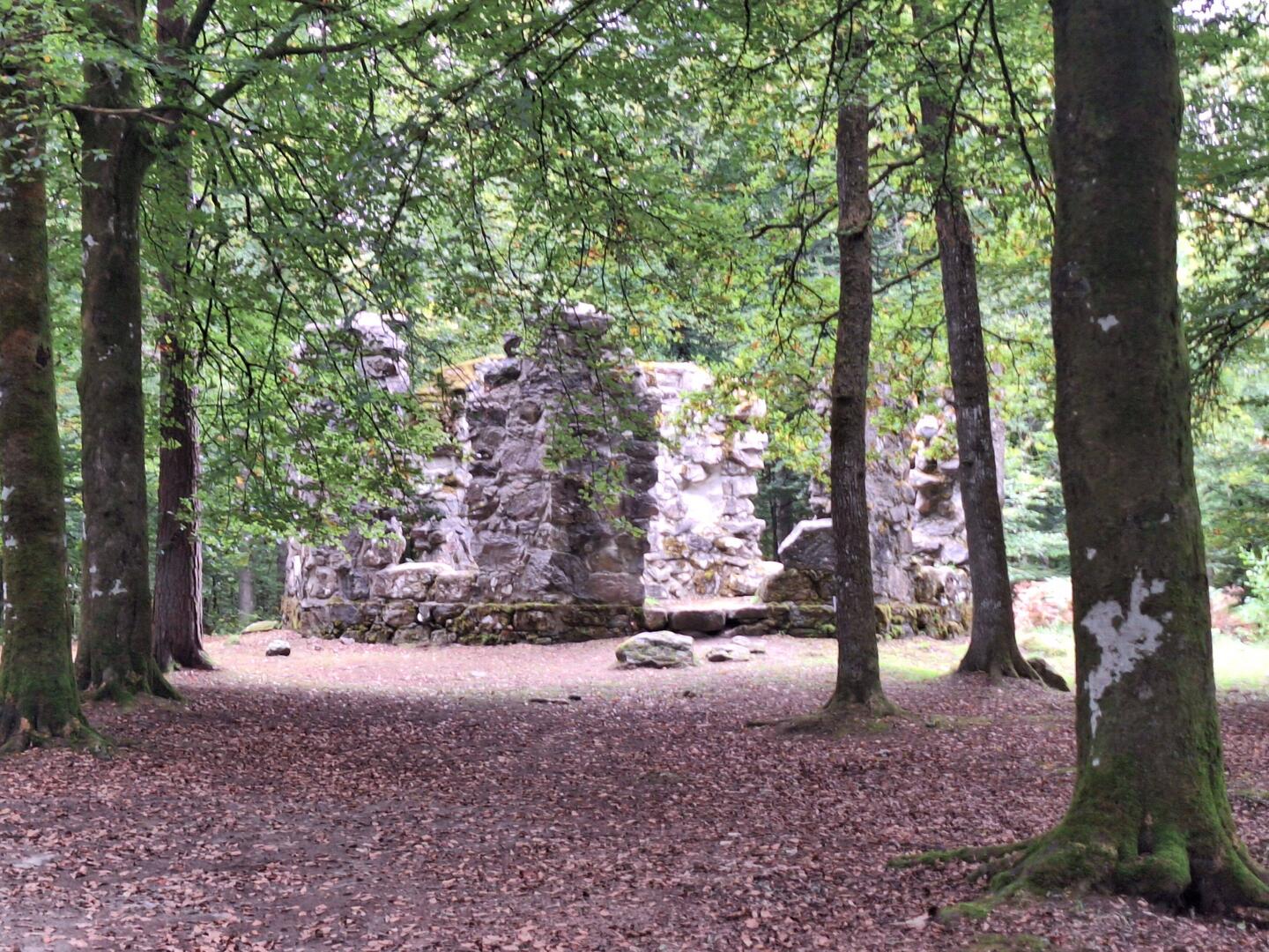 die Bibliothek des Schlossherrn im Wald