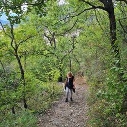 Aber erst einmal hoch