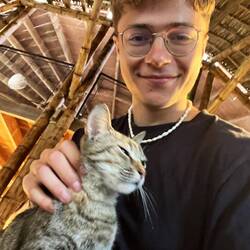 Kuscheln mit Kätzchen