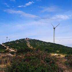 Wind turbines at morning tea