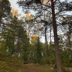 Trotzdem ein Bild vom Sonnenuntergang