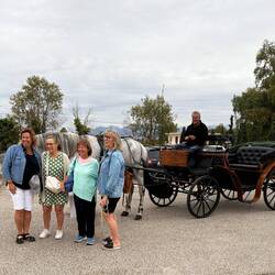Girls choose to return from their shopping trip by horse and cart