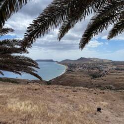 Die Insel Porto Santo ist überblickbar