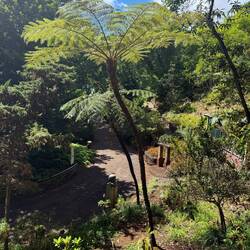 Sooo... schön! 🤩