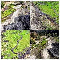 De droge bedding van het meer
