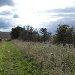 Threatened with rain but it didn't happen