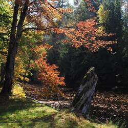 He followed up with a few more digitals on the Sugar River