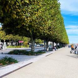 Verdeante, con jardines y espacios abiertos muy bien cuidados.