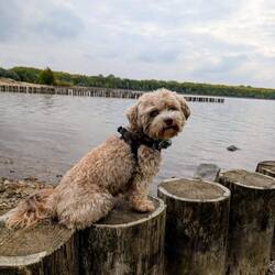 Close up even prettier 💕🫰🏻