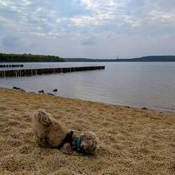 She wants to become one with the sand