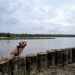 Sitting still for a treat