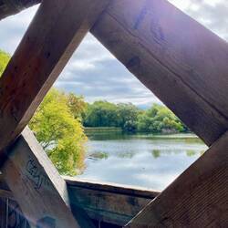 The Covered Bridge