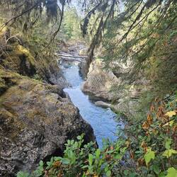 Lower Little Qualicum Falls