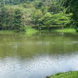 Serene pond