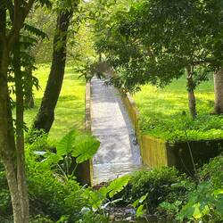 I was the only person besides the workers wandering around