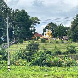Buddha on one side of the road