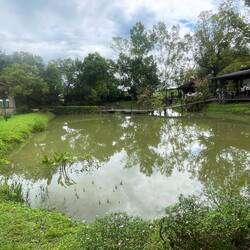 Pond in our "resort"