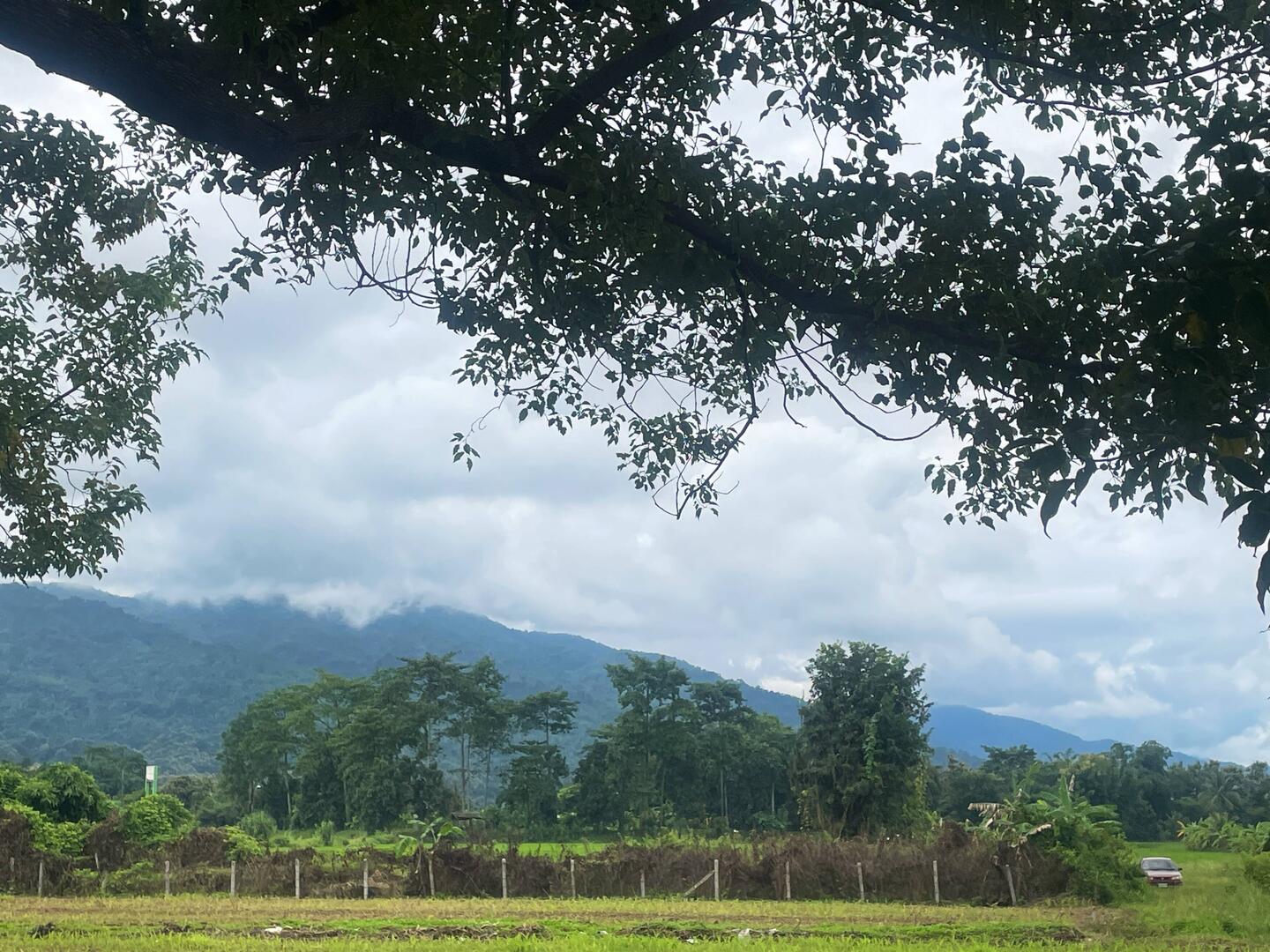Cloudier Mountain View