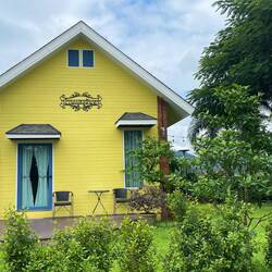 Little yellow bungalow