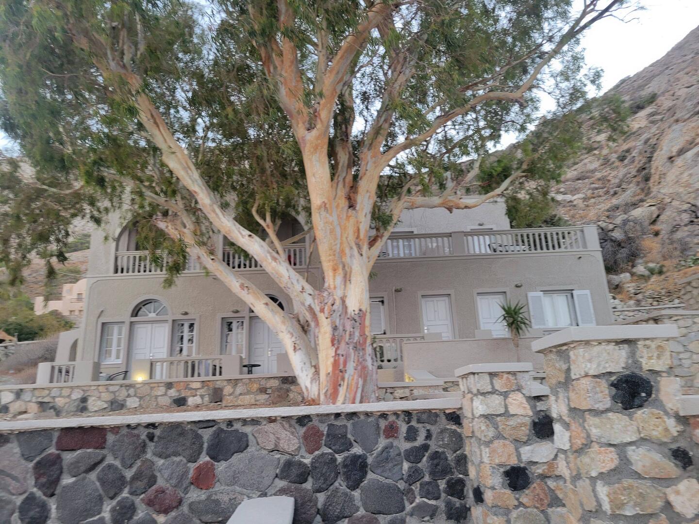 Loved this hotel, Terra Blue on Santorini.