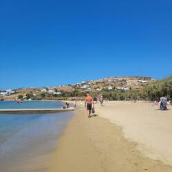 Can't stay away from the beach.