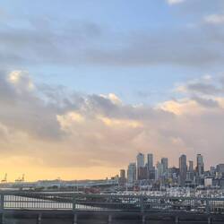 Auckland skyline