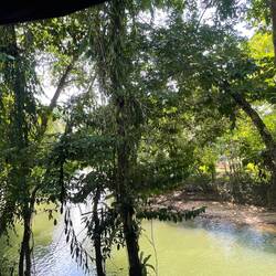 Blick aus dem Restaurant