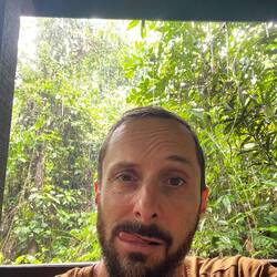 Regen im Regenwald 😋