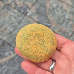 Mochi