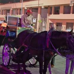 Zum Hotel fuhren wir durch diese Stadt mit der Kutsche.