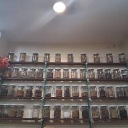 Ein unterhaltsamer Vortrag in Kräuterkunde