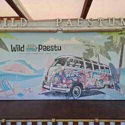 Oder weiter träumen?