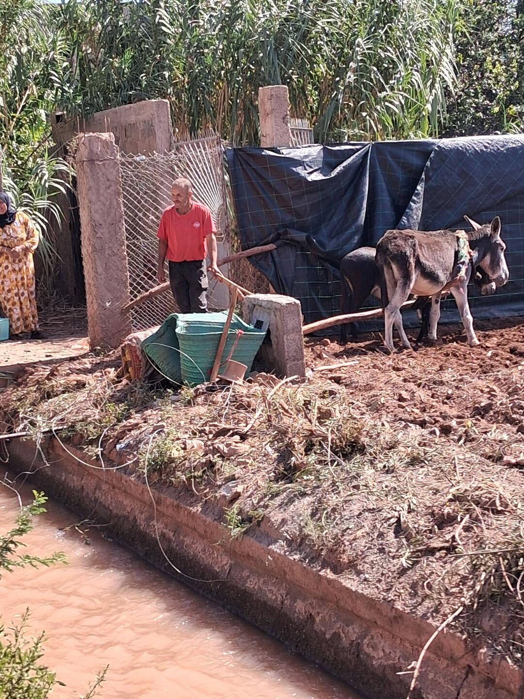 Auf dem Weg zur Safranplantage