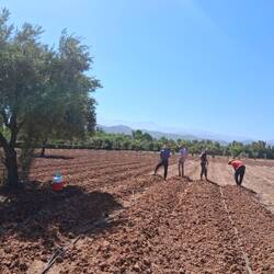 Mit der Hand bearbeitet