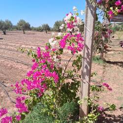 Ein Platz zum Ausruhen