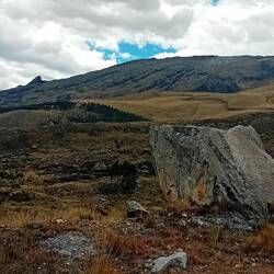 Alain sees here the fin of a Humpback whale
