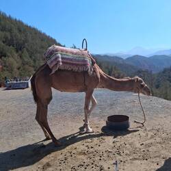 Es wartet auf den nächsten Fotoshoot.