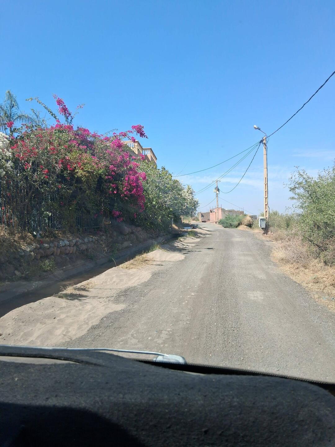 Zu Fuß zur Safranfrau