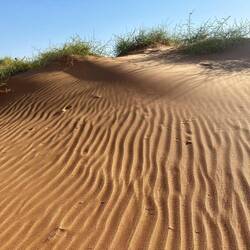 Eindrücke an der Düne