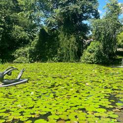 There were a lot of these sculptures on the grounds