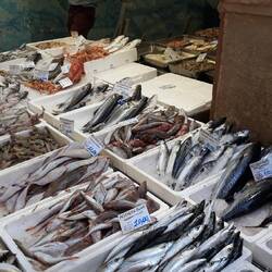 Fresh fish. Note the prices. (divide by 0.56 to get AUD)