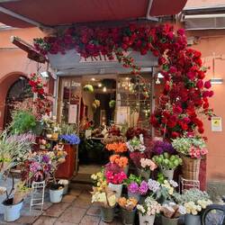 Lovely shop entrance